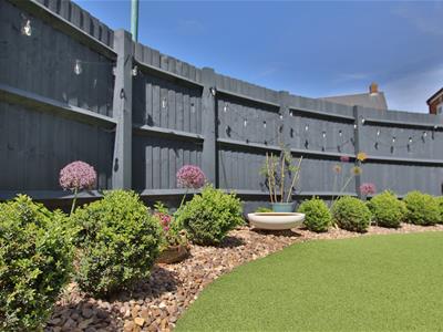 Picture 18